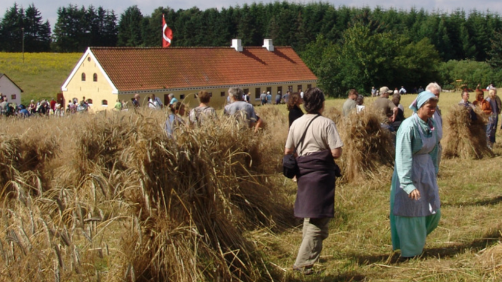 Høstdag