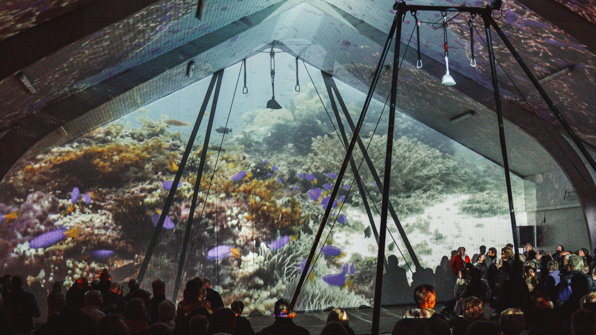 Hook & Cook - Fish After Dark den 12. september 2026