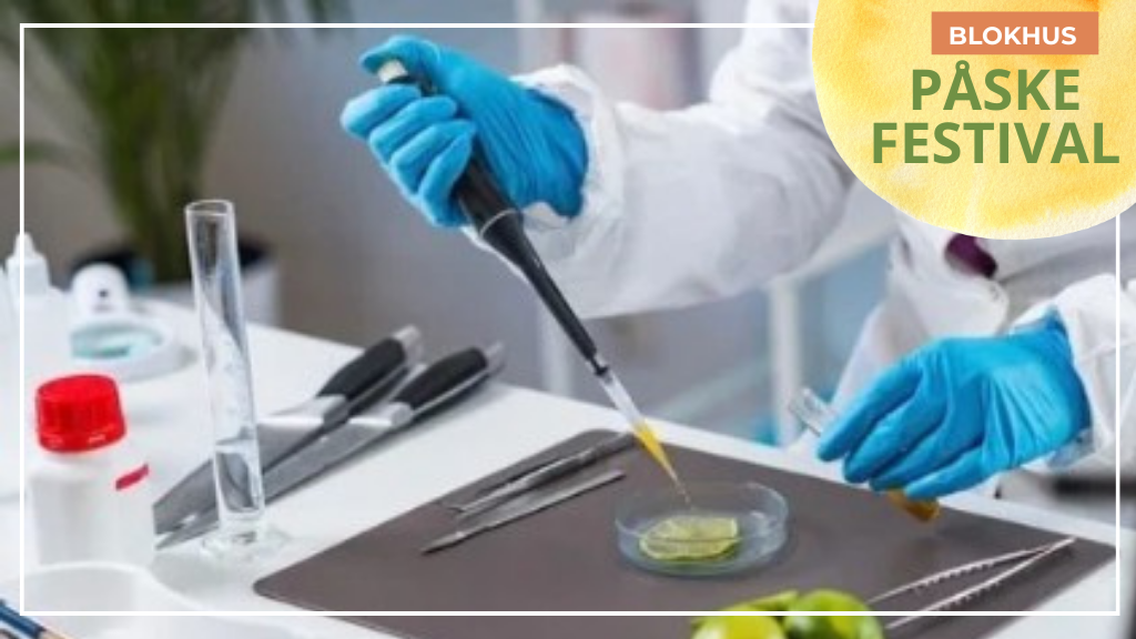 Blokhus Påskefestival 2026 | PåskeLAB