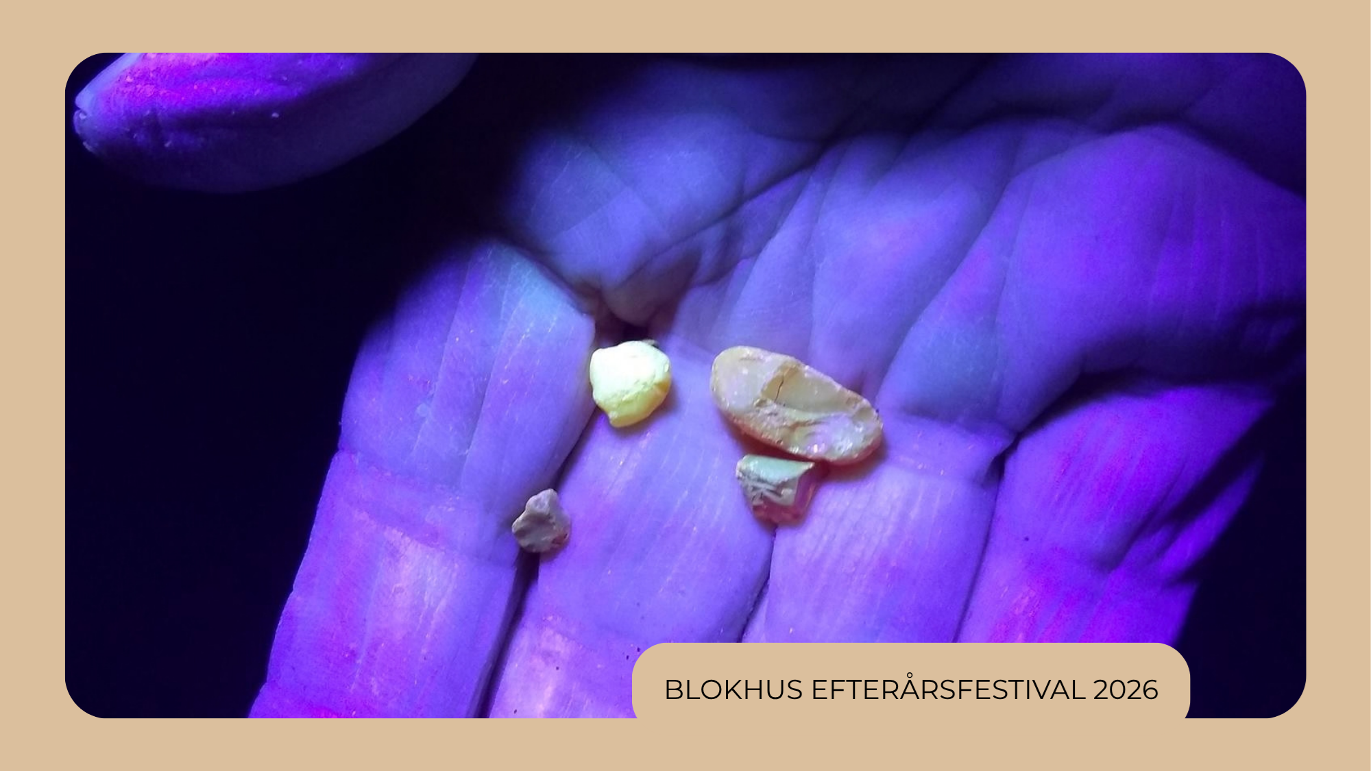 Blokhus Efterårsfestival 2026 | Ravjagt med UV-lygter