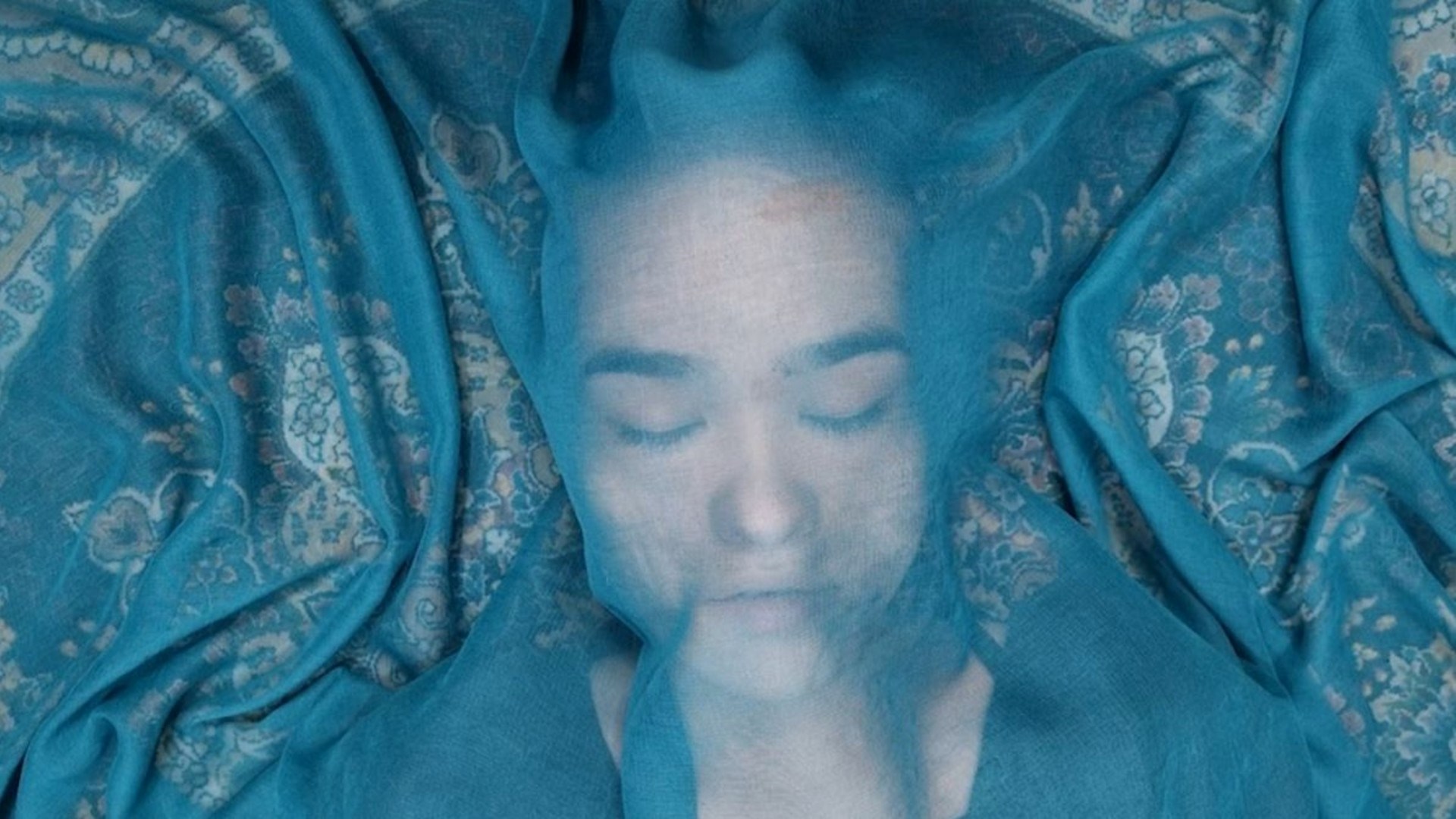 Lemvig:dox - A Fox Under A Pink Moon