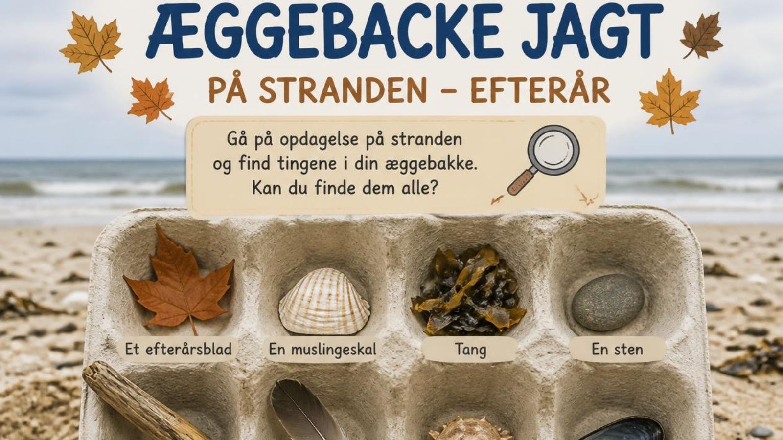 Æggebakkejagt - North Shore Surf