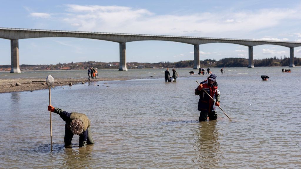 Østersjagt ved Limfjorden