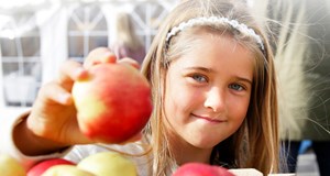 Sydhavsøernes Frugtfestival 2023 - lørdag