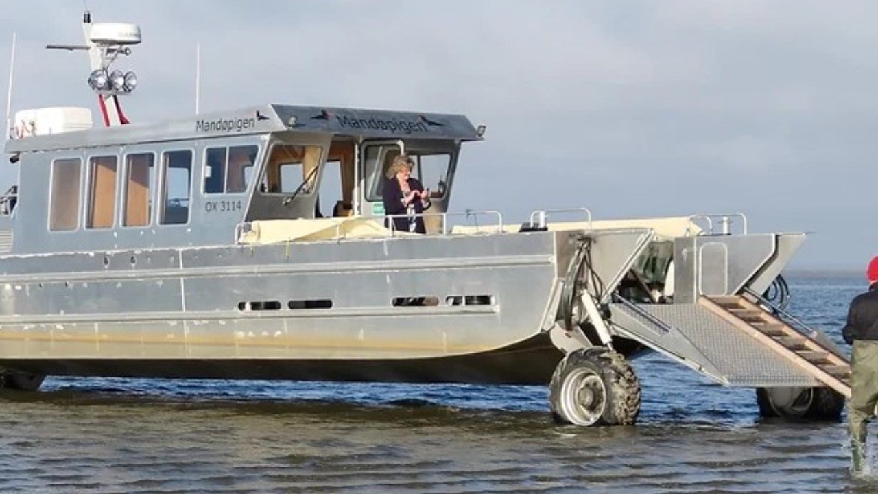 Østers og sælsafari med Mandøpigen