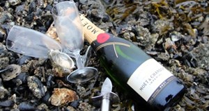 Østers- og champagnetur på Mandø