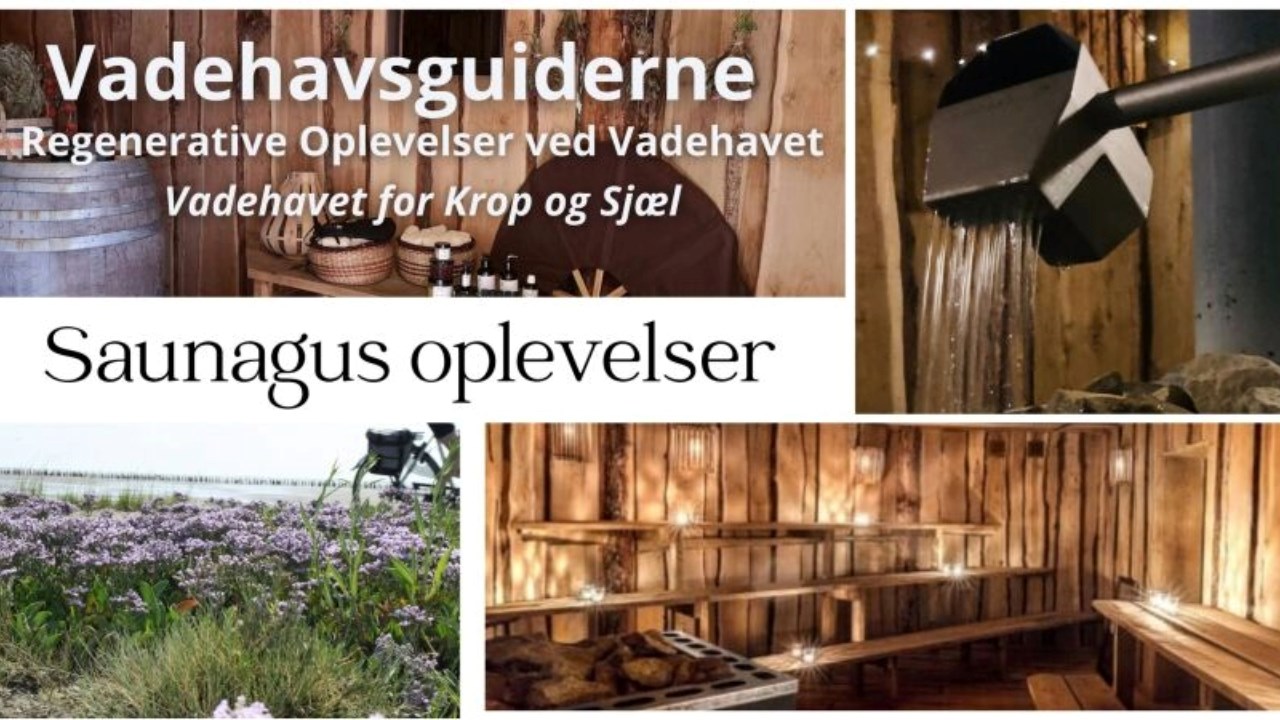 Vadehavsgus - En 2-timers saunagus oplevelse