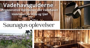 Vadehavsgus - En 2-timers saunagus oplevelse