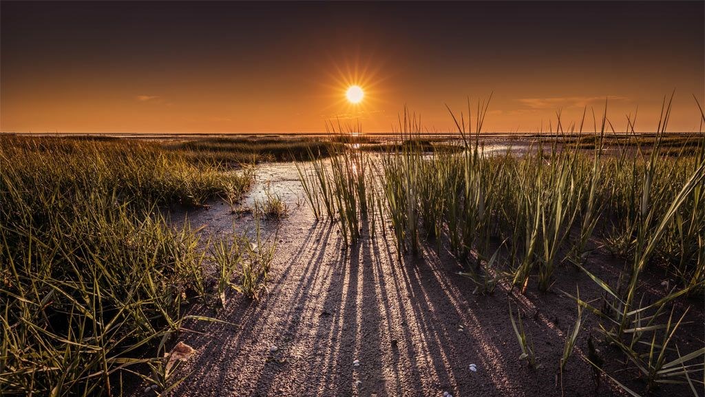 Fotoudstilling Dark Sky af Lars Roed