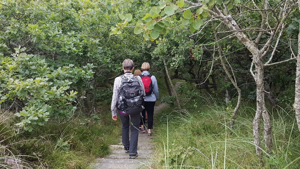 Heldagsvandretur Filsø - Kærgård Klitplantage - 13km