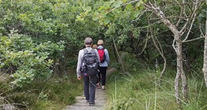 Heldagsvandretur Filsø - Kærgård Klitplantage - 13km