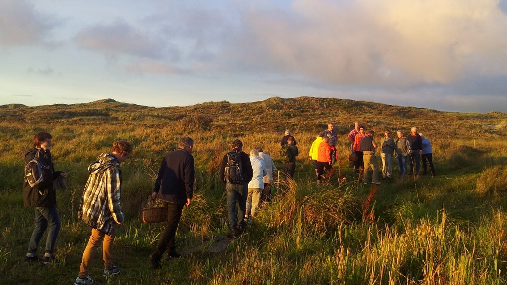 Snapsetur ved Houstrup Strand