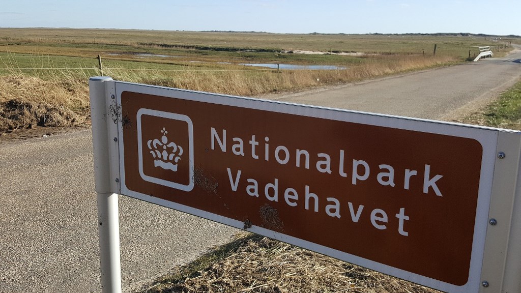 Vandretur på Skallingen