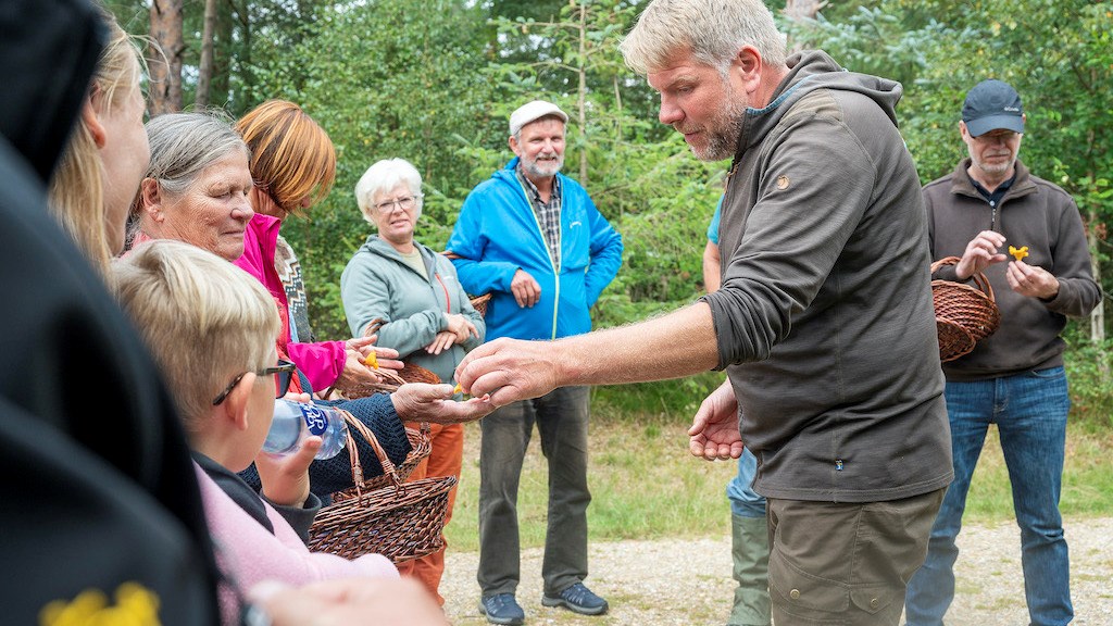 Gratis svampeture i Ballonparken i Vrøgum med naturvejleder (Dansk Guide)