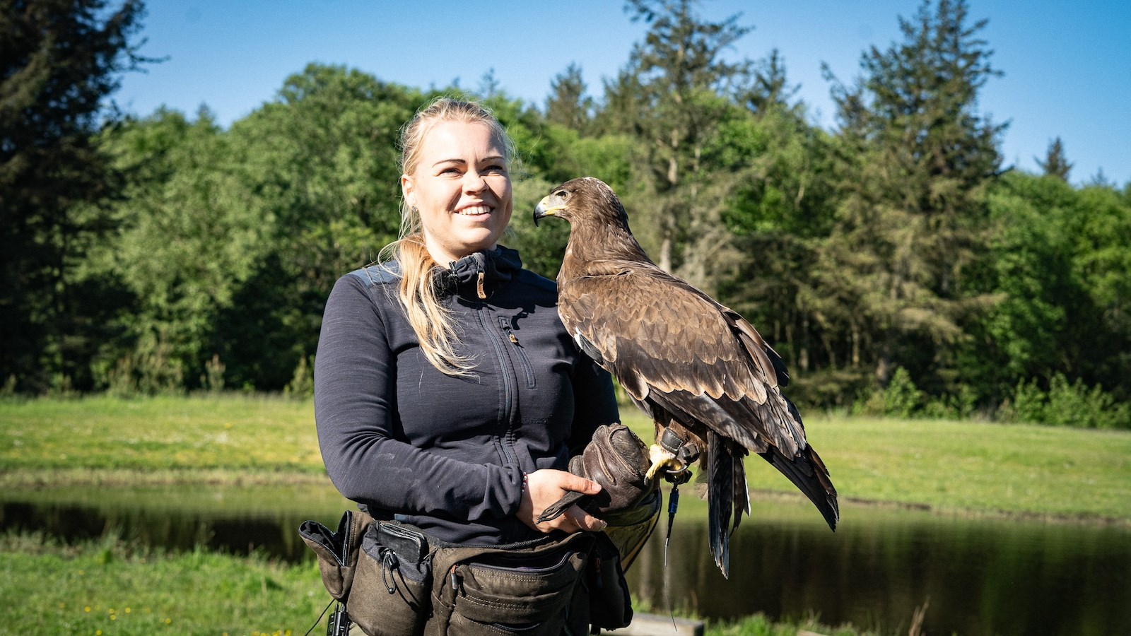 Fugleshow for hele familien
