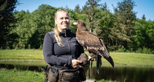 Fugleshow for hele familien