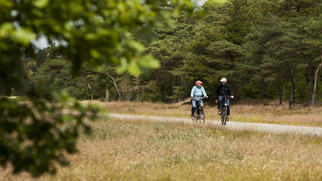 Guidet cykeltur i området ved Filsø og Grærup