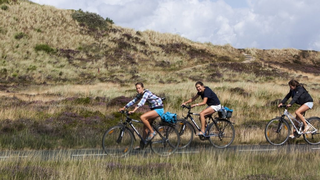 Guidet cykeltur i Nymindegab og omegn