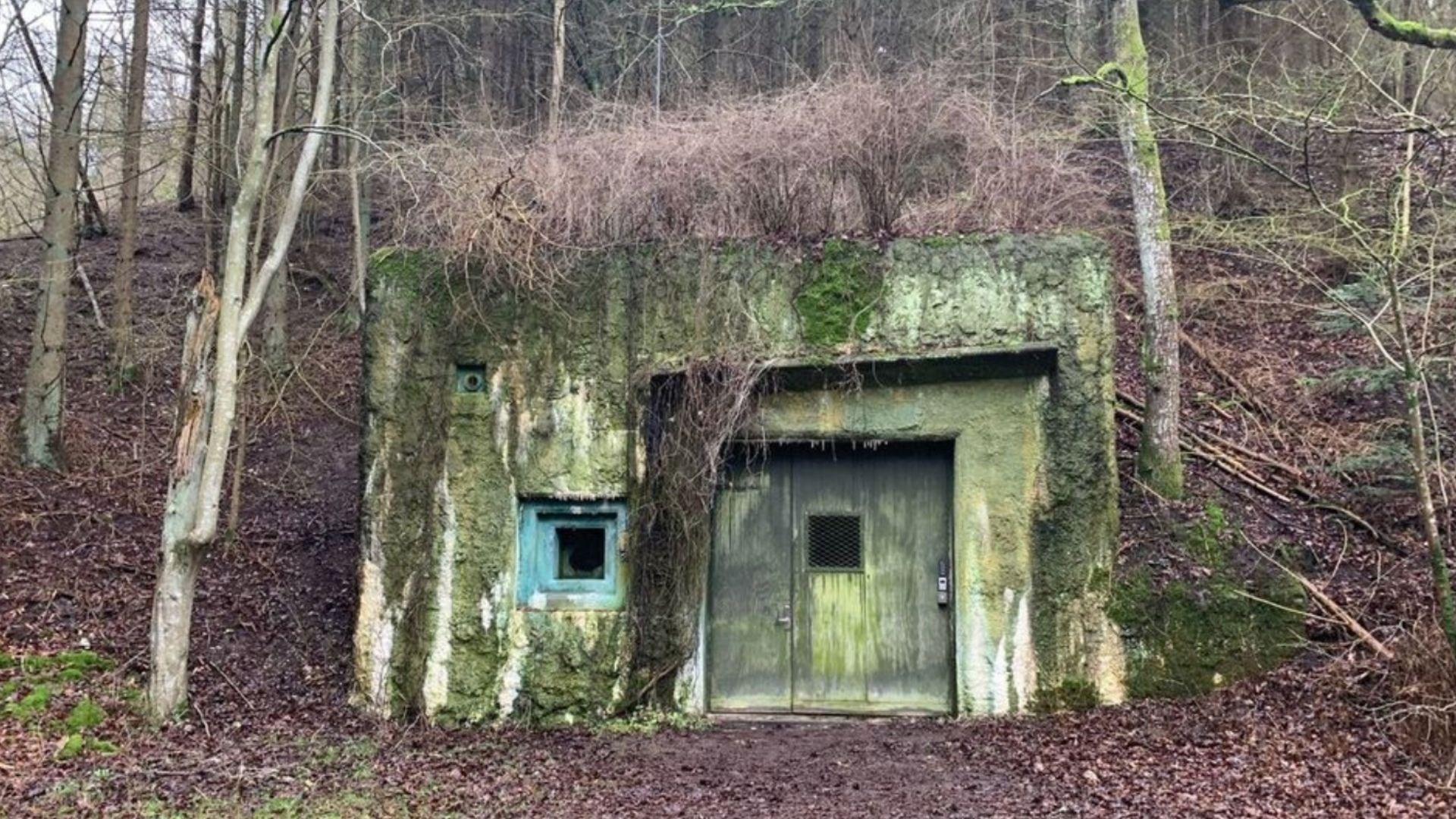 Foredrag om REGAN VEST i Hodde-Tistrup Hallen