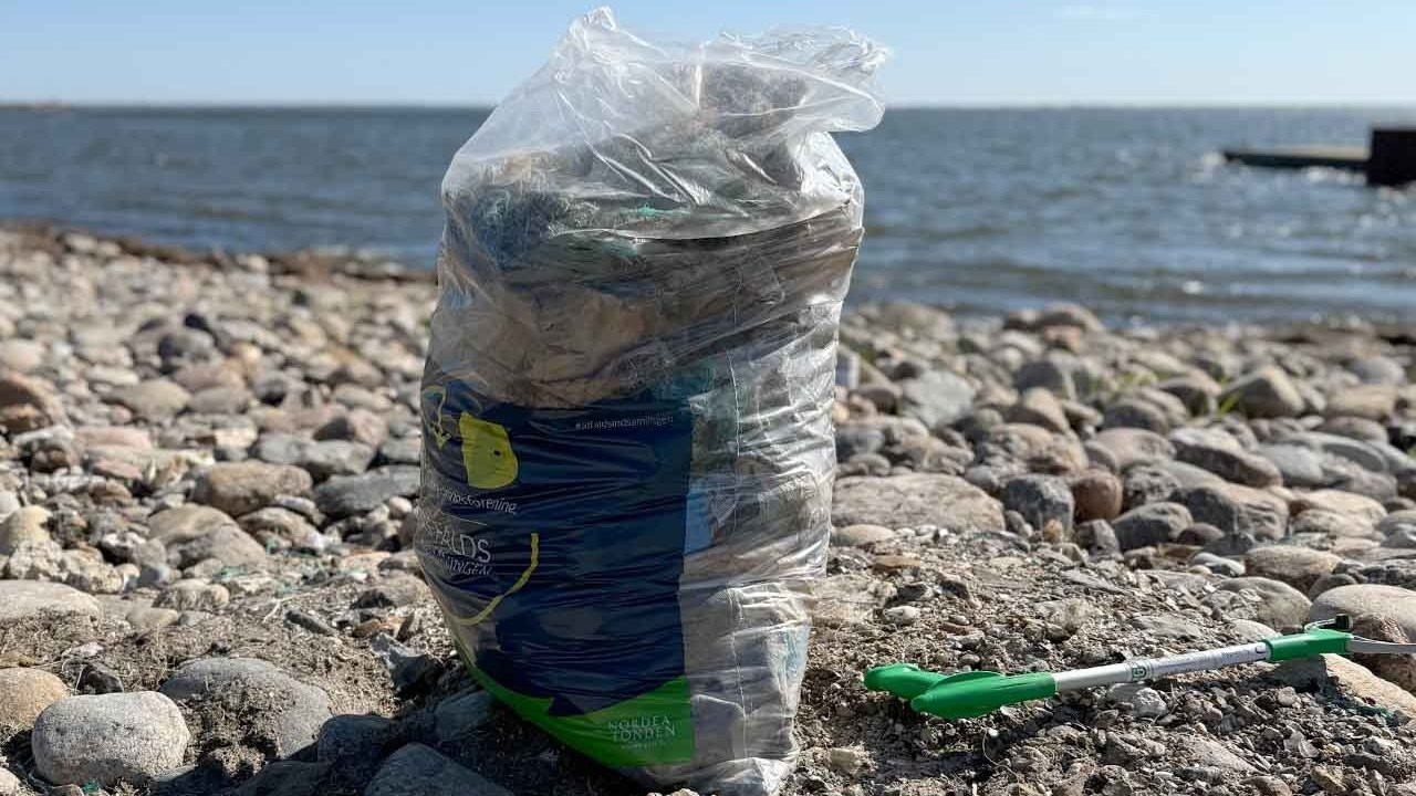 Skraldekamp i Hvide Sande: Nord mod Syd