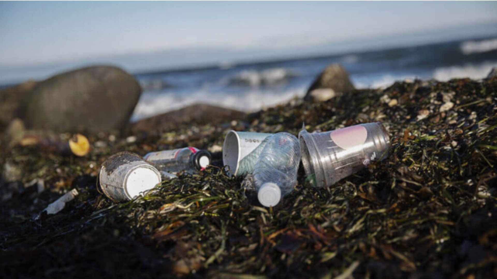 Affaldsindsamling i Søndervig