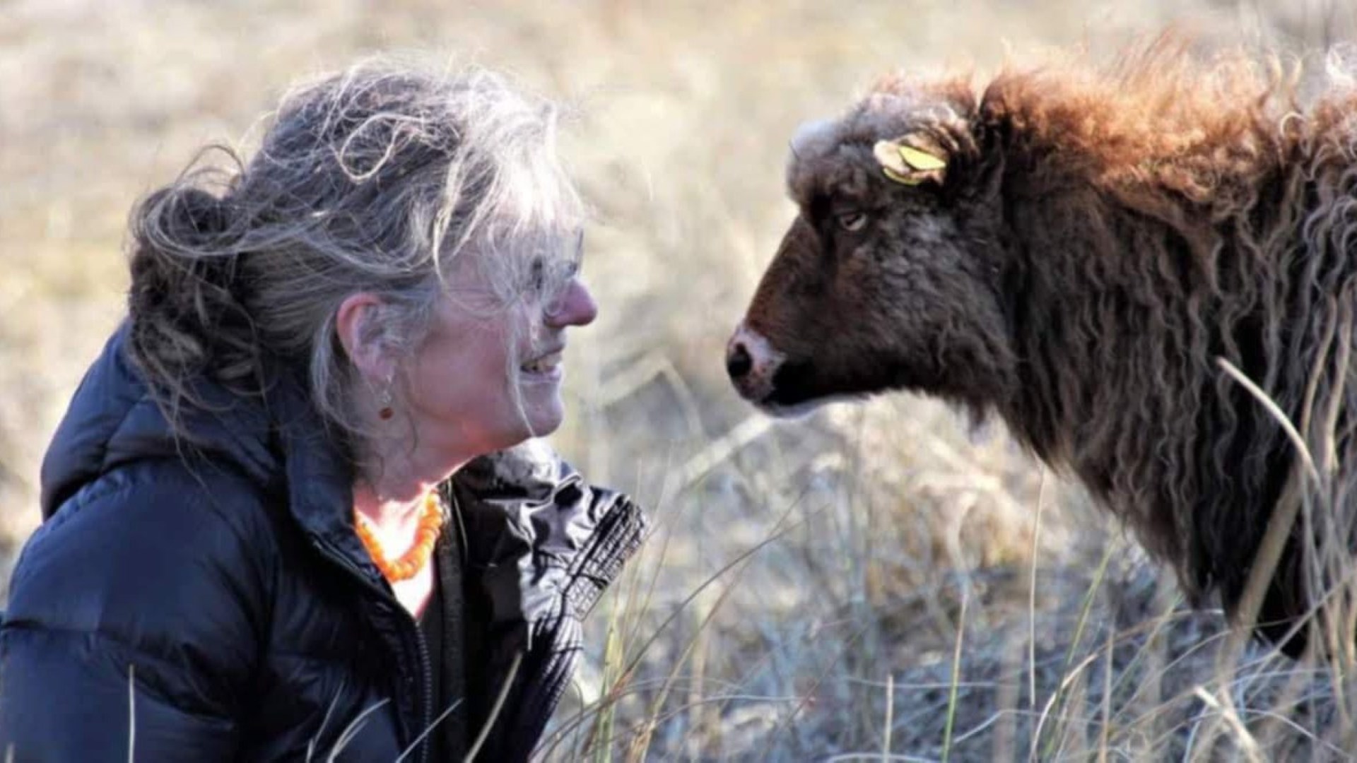 Fårets Dag i Kirkeflod