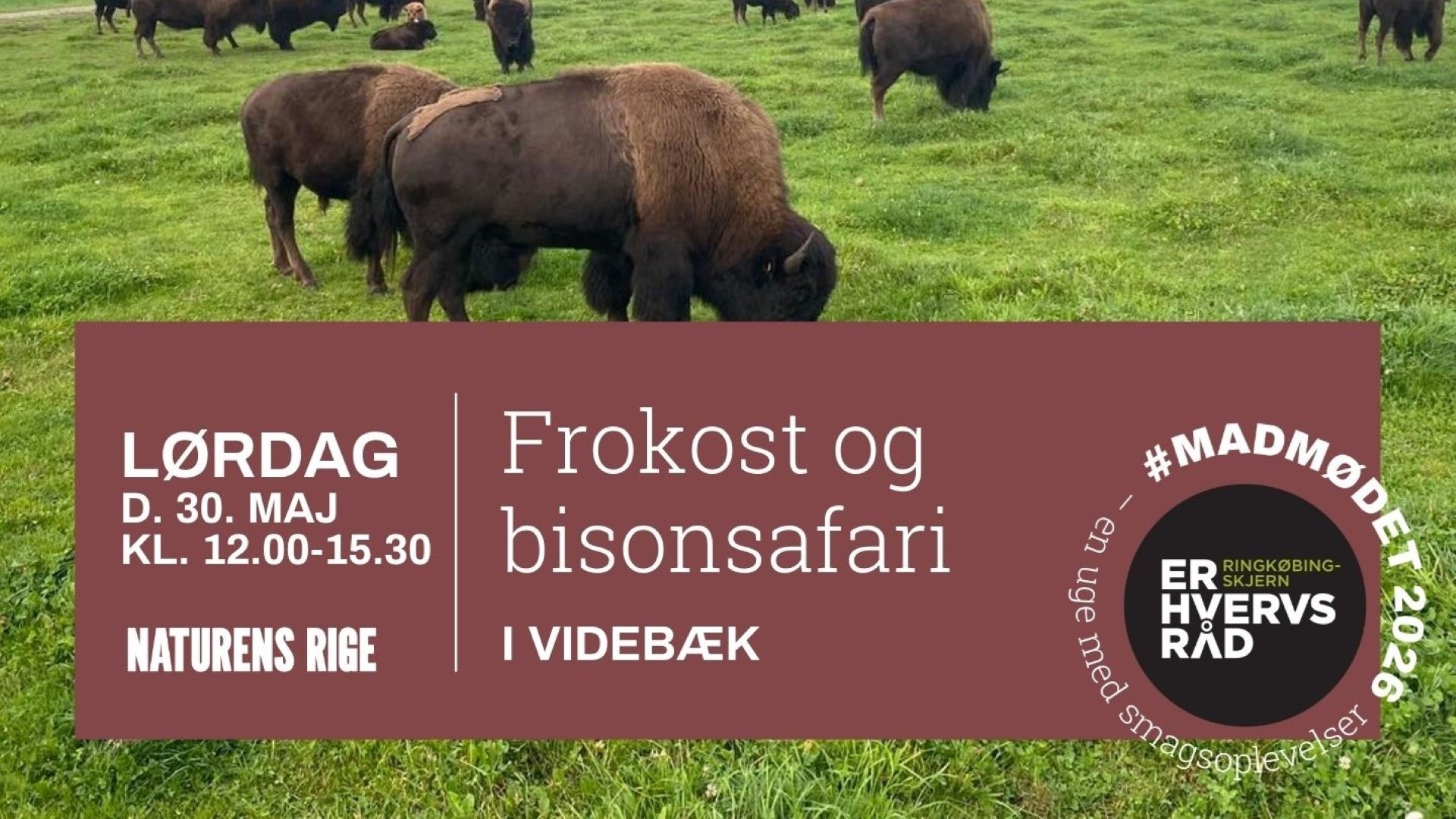 MADMØDET 2026: Frokost og bisonsafari