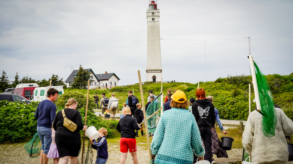 Natursafari - Strandens og havets dyreliv i Blåvand, tysk