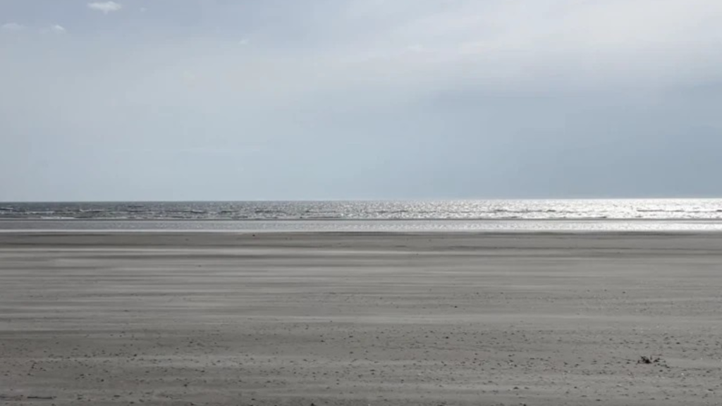 Lyt til Vadehavet: Glemme