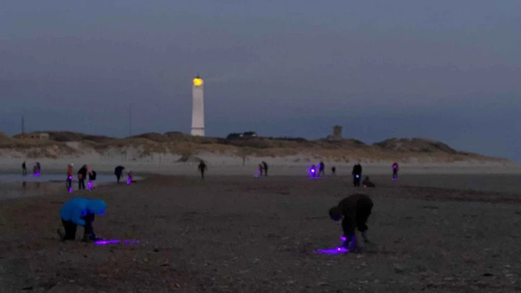 UV Safari