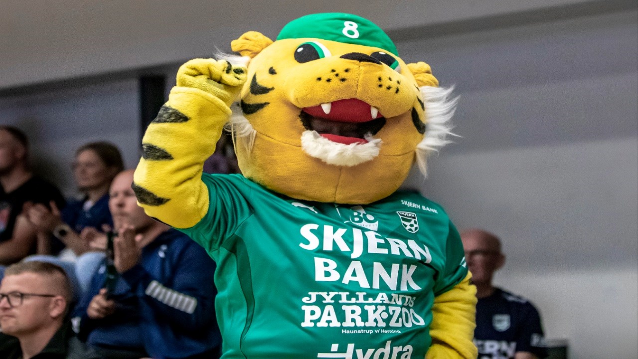 Skjern Håndbold mod Bjerringbro-Silkeborg Håndbold