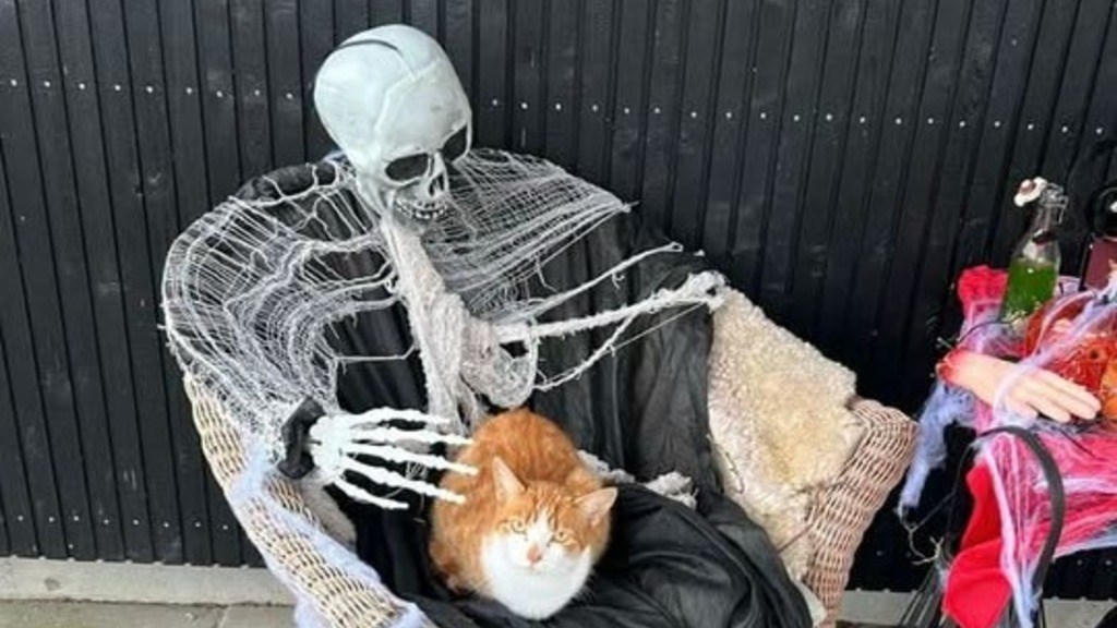 Halloween i Søndervig: en (u)hyggelig eftermiddag ved Vesterhavet