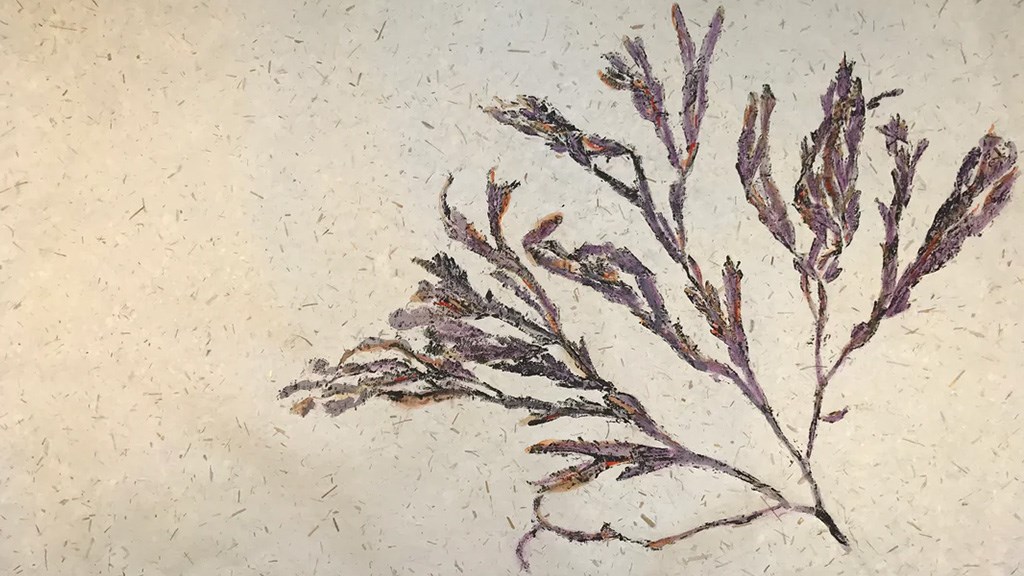 Fisketryk med MOMLIS - gratis