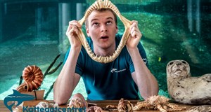 Børnekulturfestival: BlæksprutteSjov i Lohals