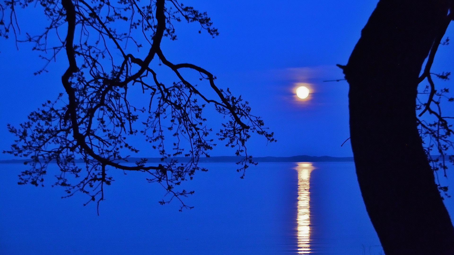 Fuldmånebadning og sauna på Langeland