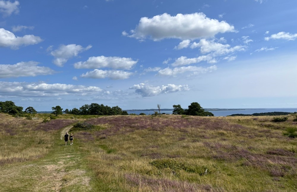 Mols Bjerge Vandretur 7 km