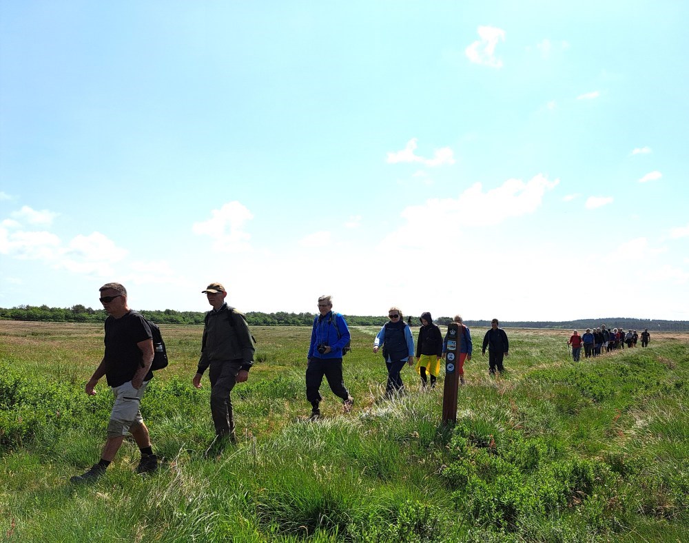 Vandretur i Nationalpark Thy