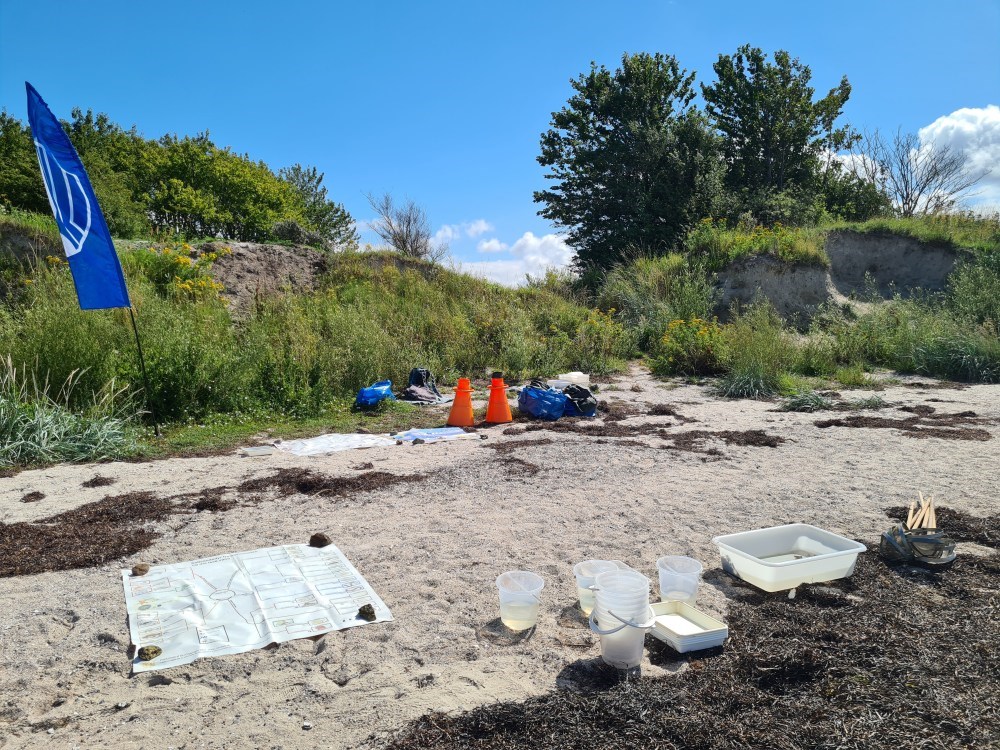Gå på detektivjagt efter dyr og planter langs Marbæk Strandpark - og hør om året