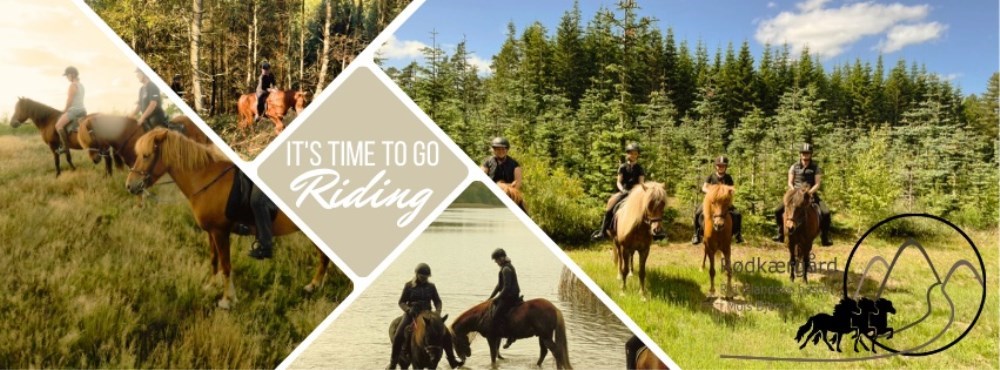 Turridning på Islandske heste - 1 time - øvet