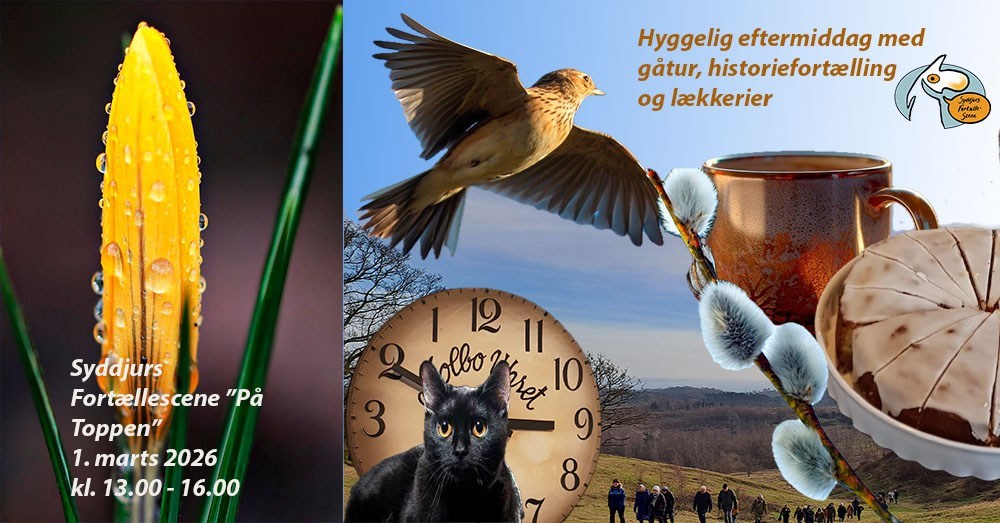 Søndag på Toppen med Syddjurs Fortællescene