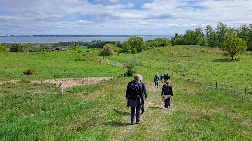 Vandretur i Mols Bjerge med fortælling