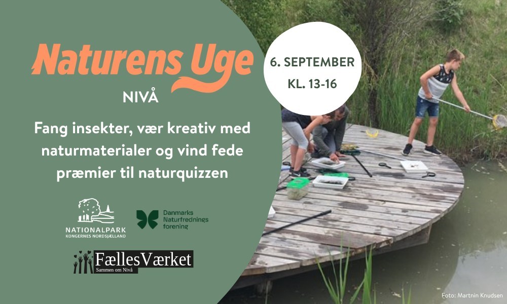Naturens Dag - Nivå