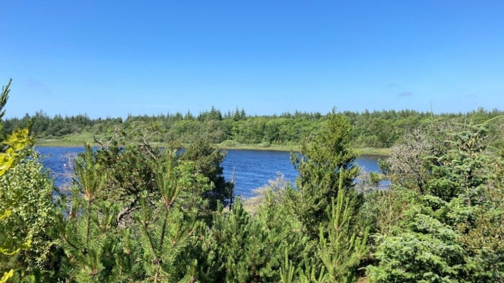 Vandretur i Nationalpark Thy