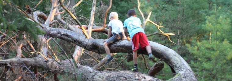Kursus i udeliv og naturformidling - Nordsjællands Naturskole
