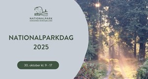 Nationalparkdag 2025