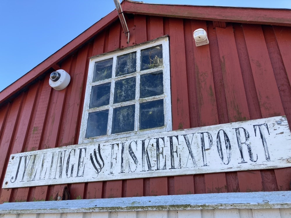 Jyllinge, Fra fiskerihavn til aktiv forstad