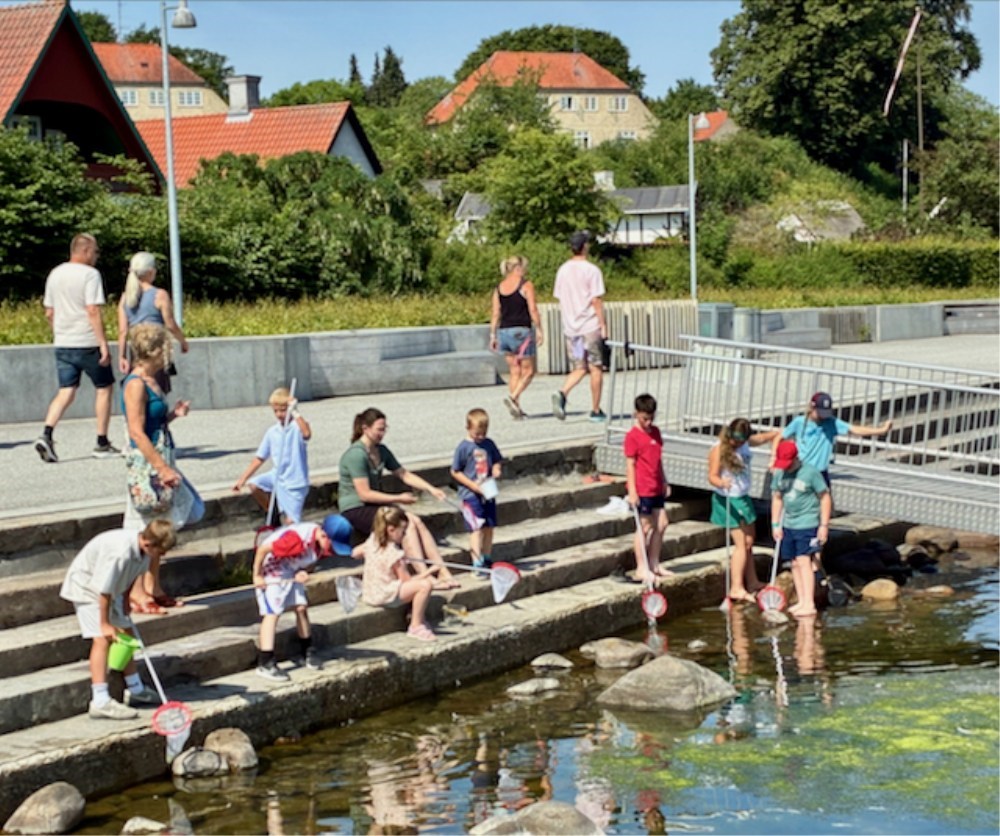 Lån et net og en bakke i Roskilde Oplevelseshavn og Fjordhave