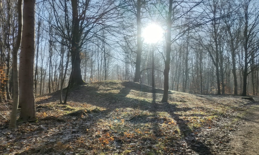 Fortidsminder i Brødeskov