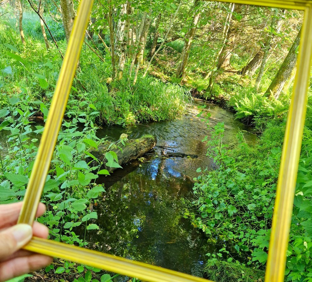 Sansevandring ved Ørnbjerg Mølle