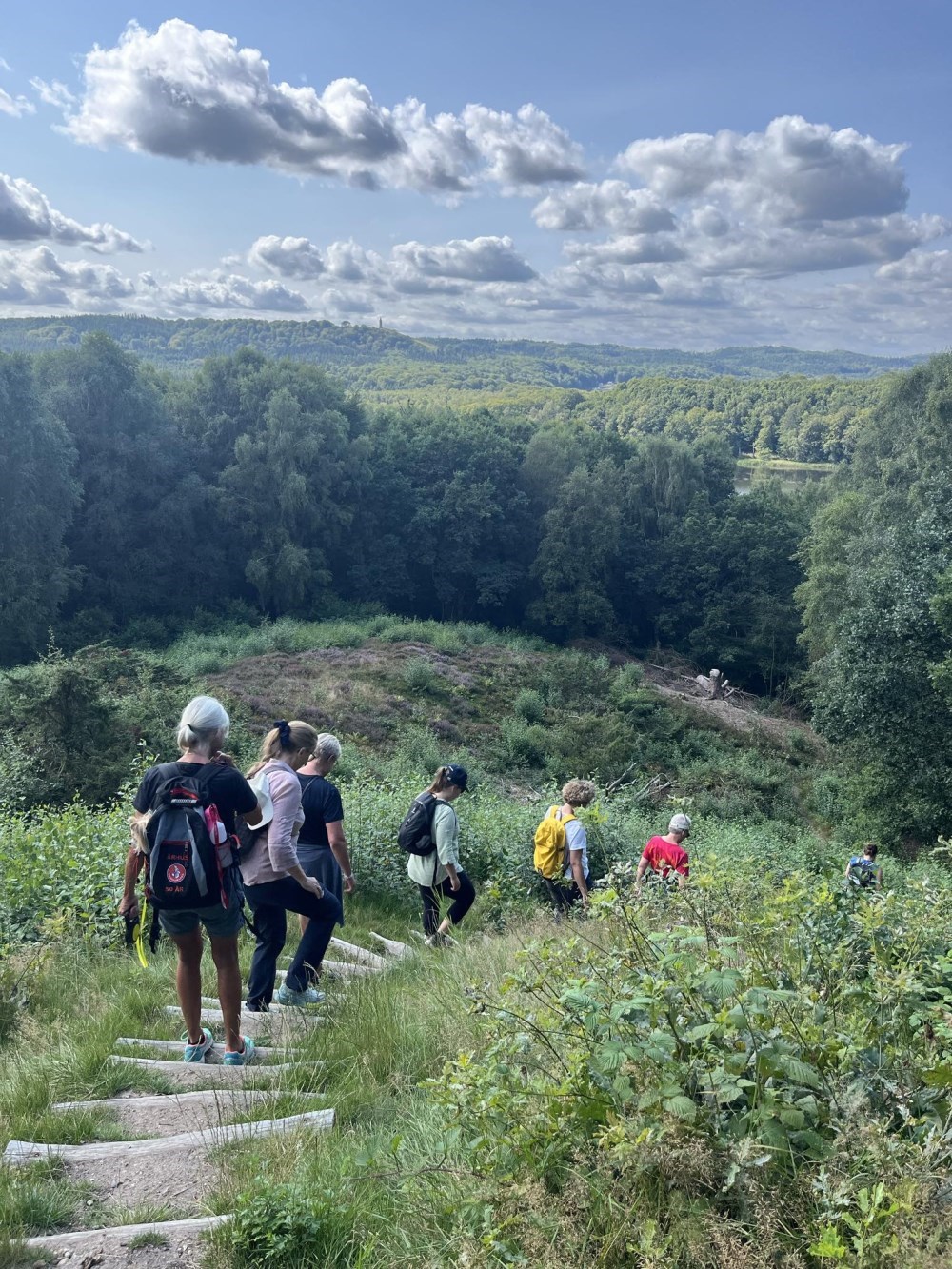 Vandretur fra Ry til Laven - 6 eller 13 km